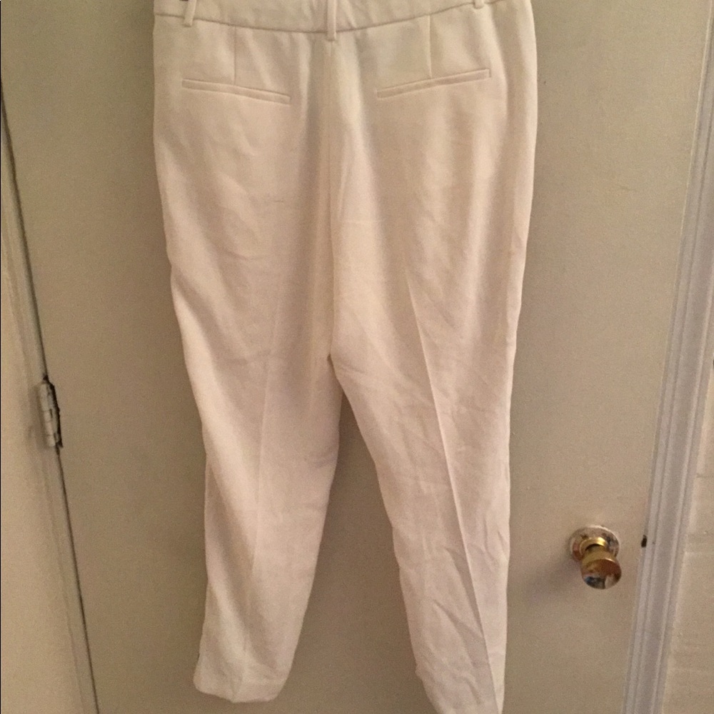 Fully Lined Polyester Pants - image 5